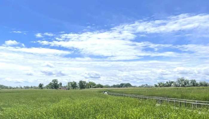 Tisza -  Tavi Vizi Setany Poroszlo - Poroszló