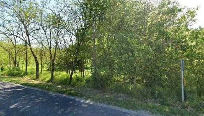 Tiszaalpar Vilagos Dulo Osszes - Tiszaalpár