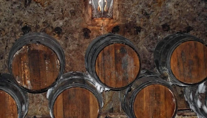Tokaj Disznoko Szolobirtok Es Pinceszet Zrt Cim - Mezőzombor