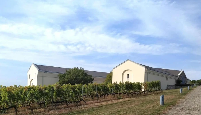 Tokaj Disznoko Szolobirtok Es Pinceszet Zrt Helyszin - Mezőzombor