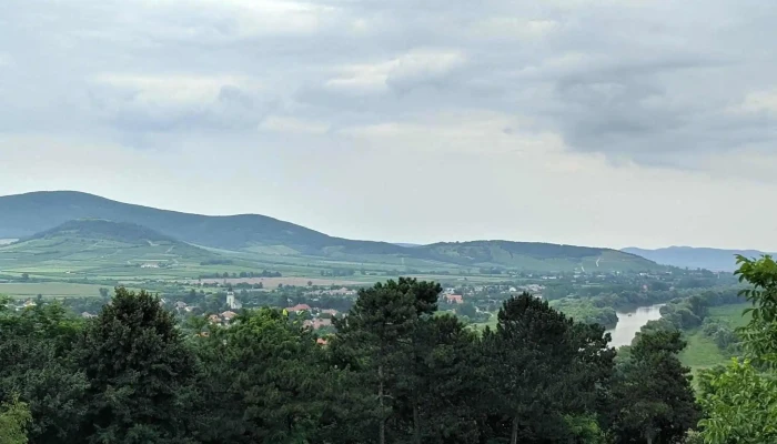 Tokaj Disznoko Szolobirtok Es Pinceszet Zrt Instagram - Mezőzombor