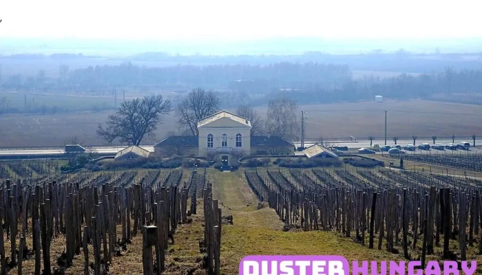 Tokaj Disznókő Szőlőbirtok és Pincészet Zrt. - Mezőzombor