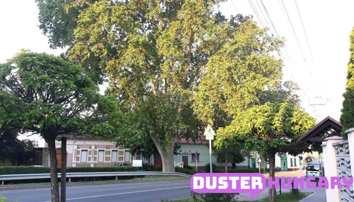 Tolna -  Osszes - Hungary