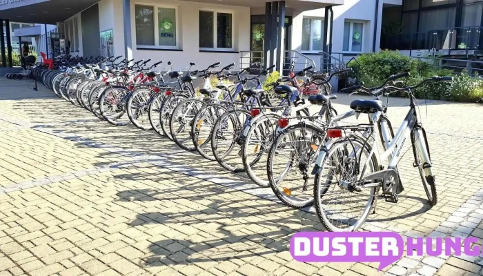 Tourinform Vonyarcvashegy E Bike Roller Elektromos Robogo Es Kerekparkolcsonzo A Tulajdonostol - Vonyarcvashegy