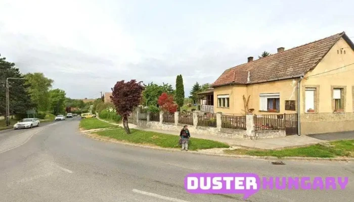 Varga Péter Dávid E.v. - Tetőmosás Kaposvár , Felülettisztítás Kaposvár - Szent István U. 30