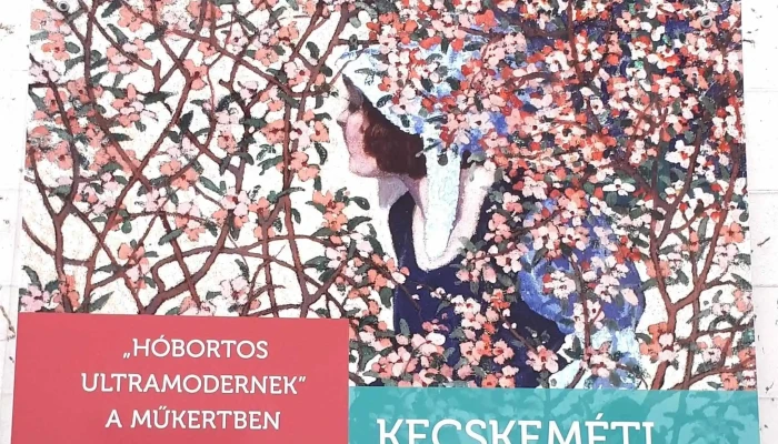 Varosi Keptar Deak Gyujtemeny Videok - Székesfehérvár