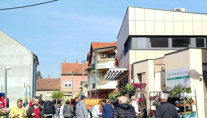 Vasarcsarnok Menetrend - Zalaegerszeg