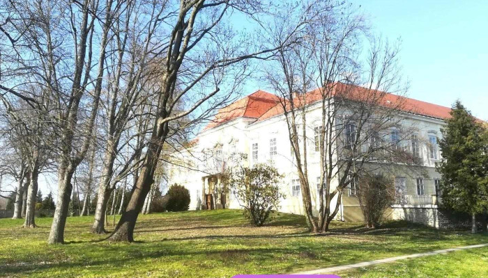 Vassurány - Vassurány