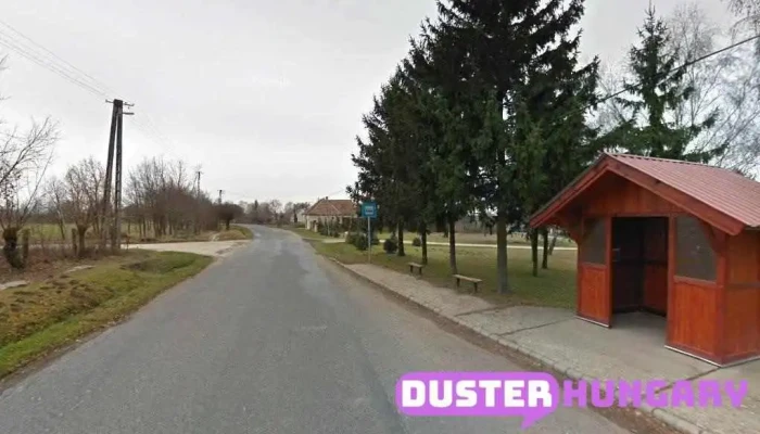 Vasszilvágy, gépjavító - Magyarország