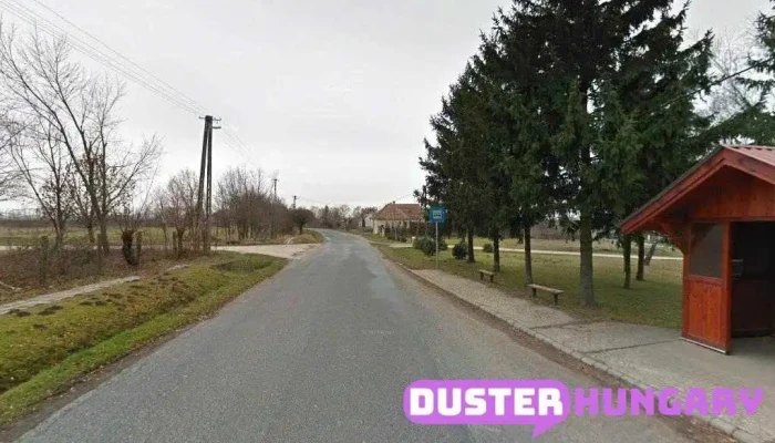 Vasszilvágy, gépjavító - Magyarország