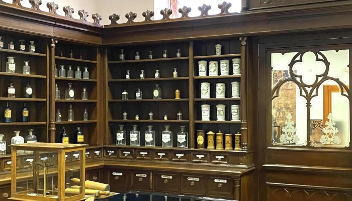 Vasvari Pal Muzeum Muzeum - Tiszavasvári
