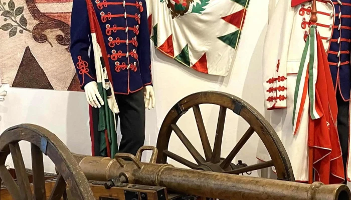 Vasvari Pal Muzeum Szam - Tiszavasvári