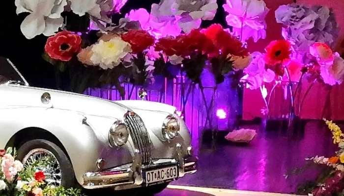 Vzcars Automotive Service Car Cleaning Autoszerelő - Mosonmagyaróvár