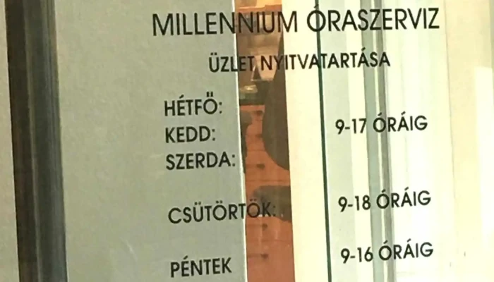 W. D. L. Service Kft. - Millennium Watch Service - Váci Utca 19-21