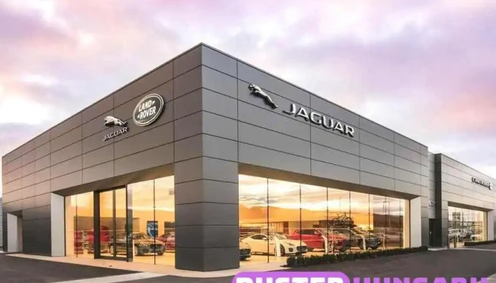 Wallis British Motors Kft A Tulajdonostol - Budapest