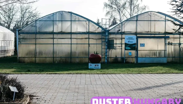 Zfw Hortiservice Kft   Vetomag Es Szermaradekmentes Technologia A Tulajdonostol - Kecskemét