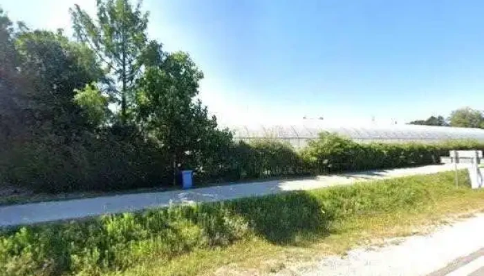 Zfw Hortiservice Kft   Vetomag Es Szermaradekmentes Technologia Utcakep Es 360deg - Kecskemét