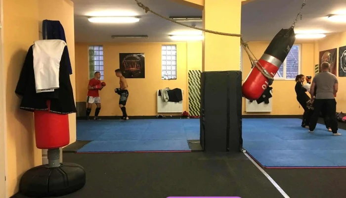 Zr Team Csepel -  A Tulajdonostol - Budapest