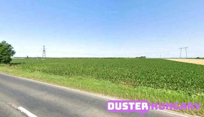 Zsoldos Autóvillamossági Műhely - Lepsény