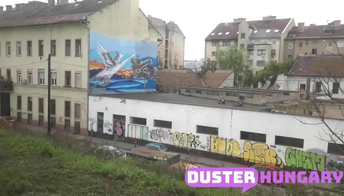 Zuglo Videok - Budapest