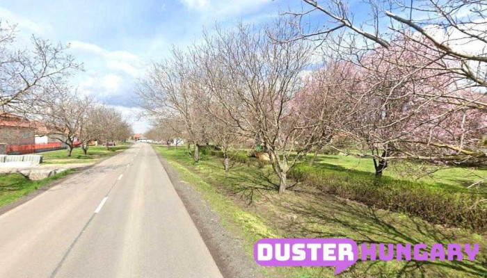Őszi Szerviz Kft. - Boldog